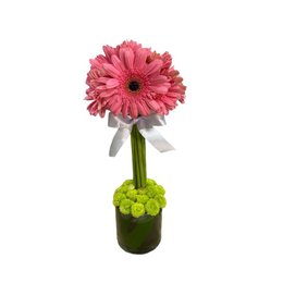 Imagem de Arranjo Pink Ball