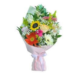 Imagem de Tempo de Alegria