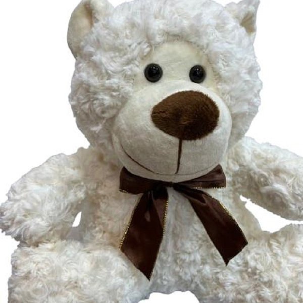 Urso Fofinho Pelúcia Encaracolado