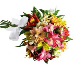 Imagem de Buquê de 12 Astromélias Coloridas