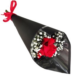 Imagem de Elegante Rosa Colombiana