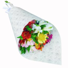 Imagem de Elegância Das Astromélias Coloridas