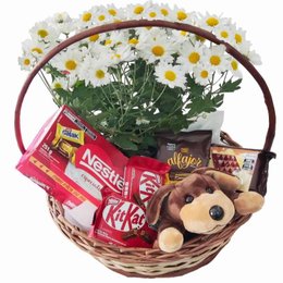 Imagem de Cesta Meu Dengo Amor