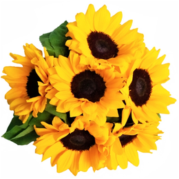 Imagem de Buquê Amor Em Girassóis