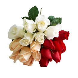Imagem de Elegante Buquê De 18 Rosas Mescladas