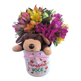 Imagem de Kit Surpresa De Astromélias & Pelúcia