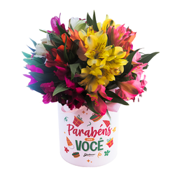 Imagem de Surpresa De Astromélias Na Caixinha 