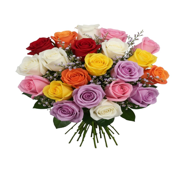 Buquê De 36 Rosas Coloridas & Gypsophila