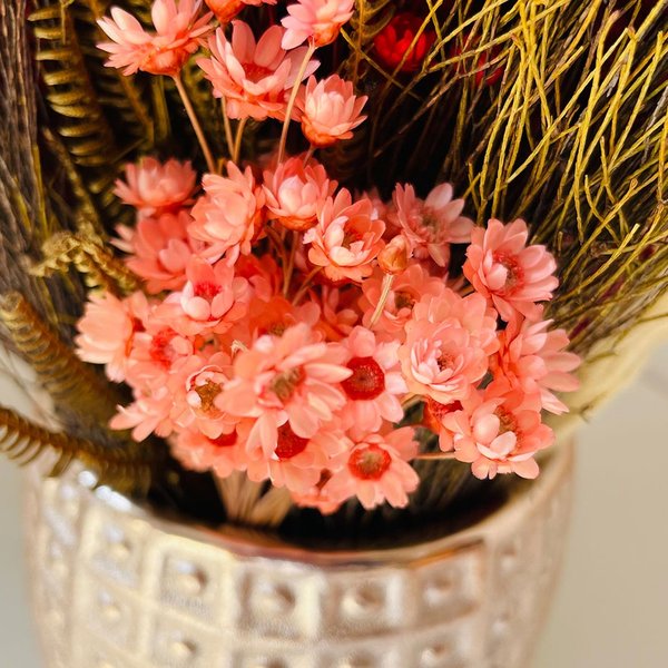 Cachepot Bronze