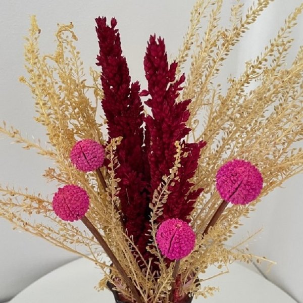 Vaso Rosa Pequeno Com Mutamba Desidratada