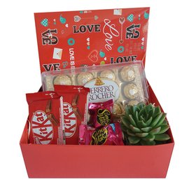 Imagem de Cesta Chocolate e Suculenta