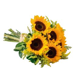 Imagem de Lindo Buquê com 4 Girassol 