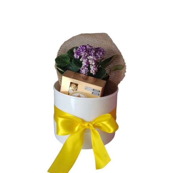 Box violeta 