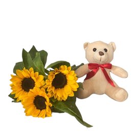 Imagem de Teu Sorriso 