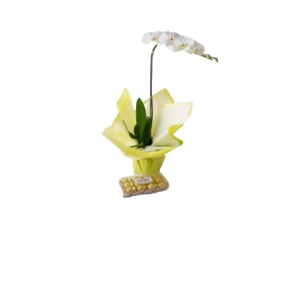 Maravilhosa Orquídea 