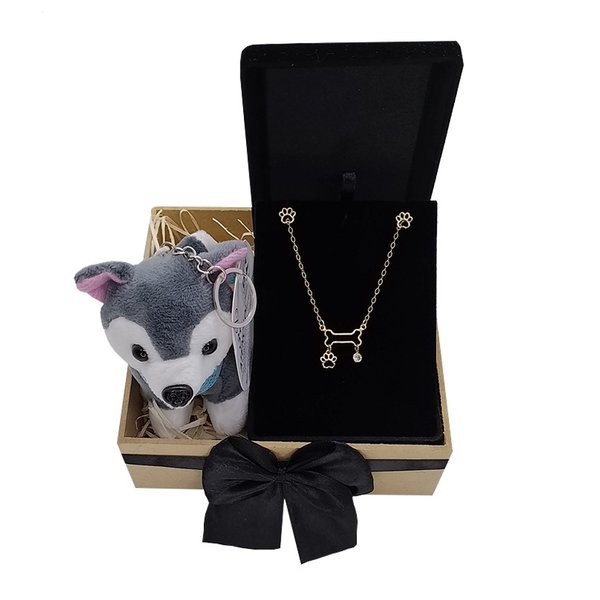kit Pet