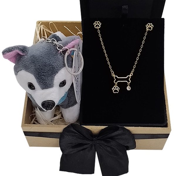 kit Pet