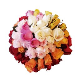 Imagem de Buquê com 80 Rosas Coloridas