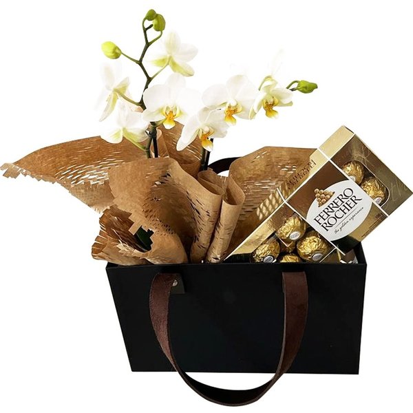 Cesta  Mini Orquídea Branca e Ferrero