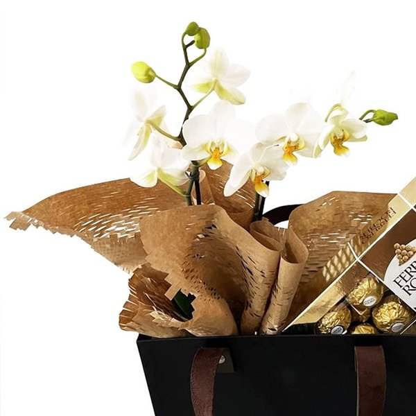 Cesta  Mini Orquídea Branca e Ferrero