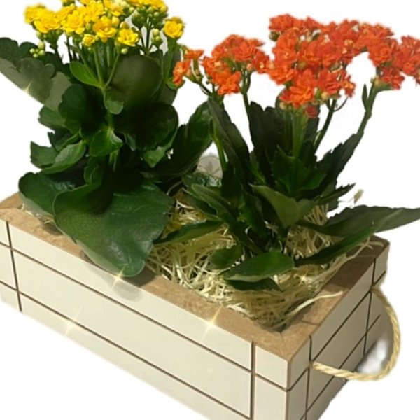 Arranjo Florido com Flores da Fortuna