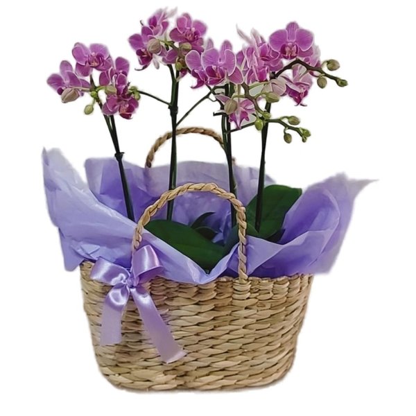Cesta de Palha com Orquídeas 