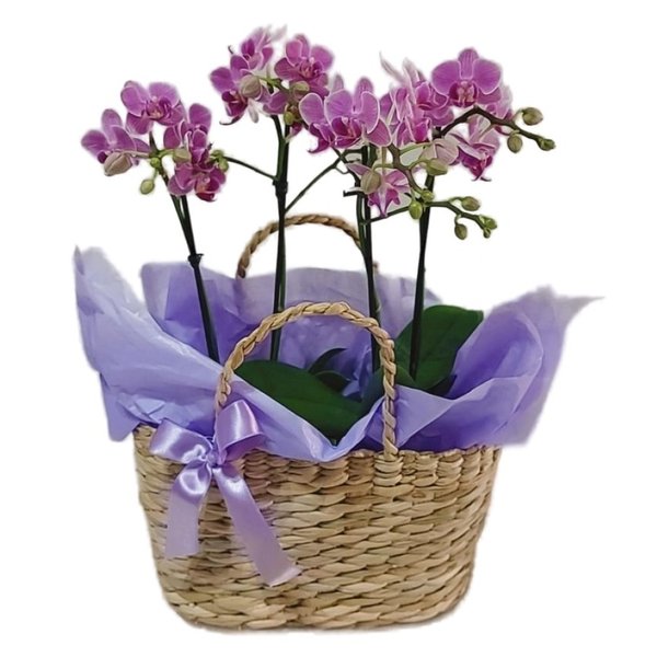 Cesta de Palha com Orquídeas 