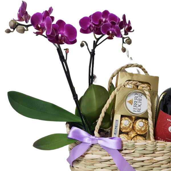 Cesta de Palha com Orquídea, Ferrero e Vinho