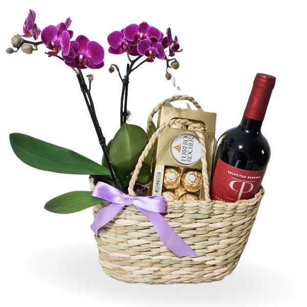 Cesta de Palha com Orquídea, Ferrero e Vinho