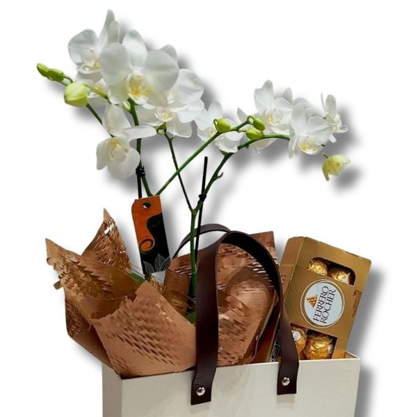 Cesta Premium Mini Orquídea e Chocolate 
