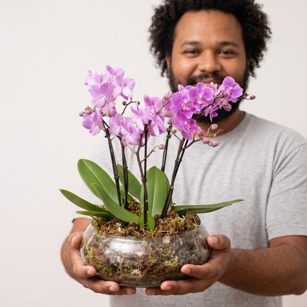 Vaso de Vidro com Orquídeas Premium Lilás 