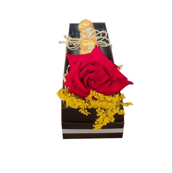 Rosa Vermelha Especial