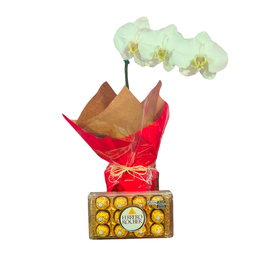 Imagem de Orquídea com Ferrero