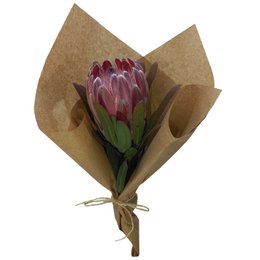 Imagem de Buquê de Protea
