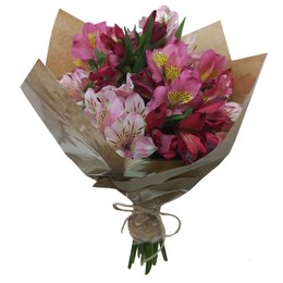 Imagem de Buquê de Mix de Astromélias