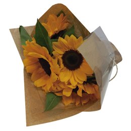 Imagem de Lindo Buquê de Girassóis 
