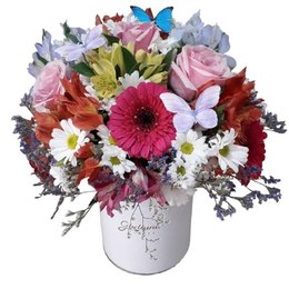 Imagem de Box Flores Coloridas