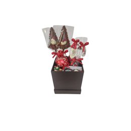 Imagem de Cesta Natalina Chocolate Belga