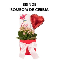 Imagem de Arranjo de Flor com Balão e Chocolate 