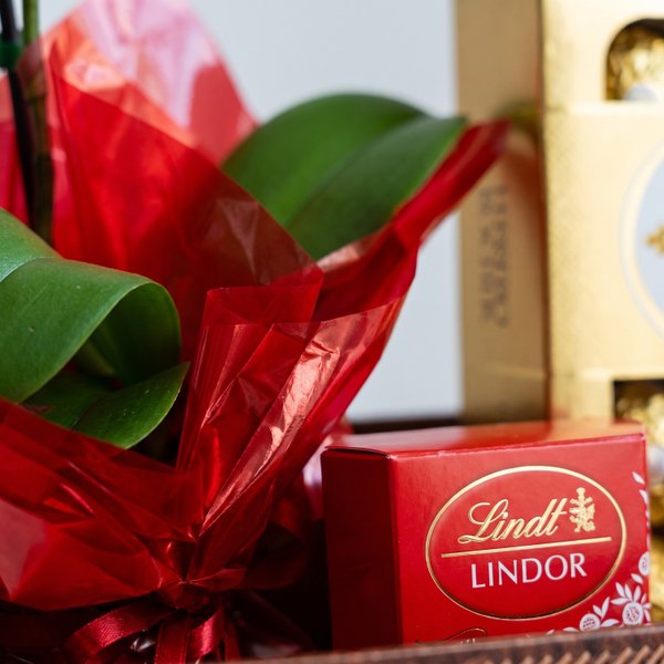Box Surpresa com Orquídea e Chocolates