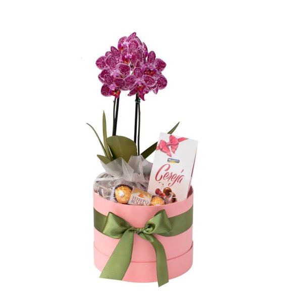 Cesta de Presente Especial Orquídea