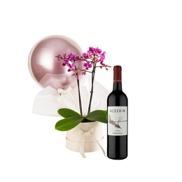 Imagem de Cesta de Presente com Orquídea, Balão e Vinho