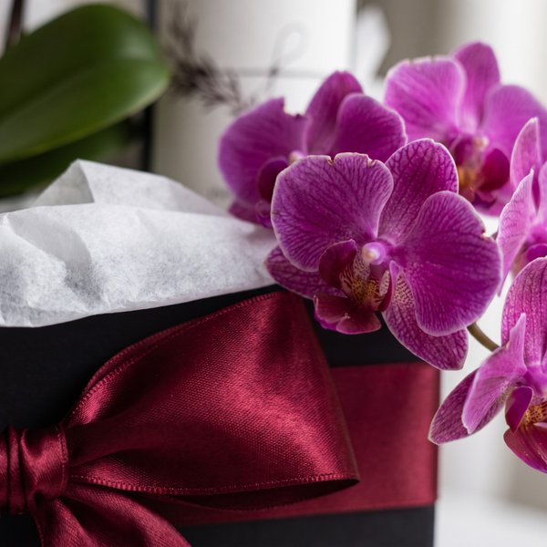 Cesta de Presente com Orquídea, Balão e Vinho