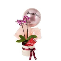 Imagem de Cesta de Presente Parabéns Orquídea, Balão e Lindt