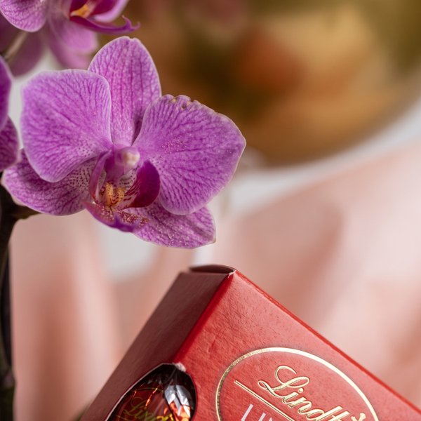 Cesta Presente Floral Deluxe Orquídea, Balão e Lindt