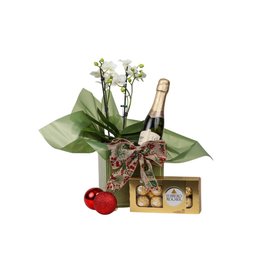Imagem de Cesta de Natal Orquídea e Chandon