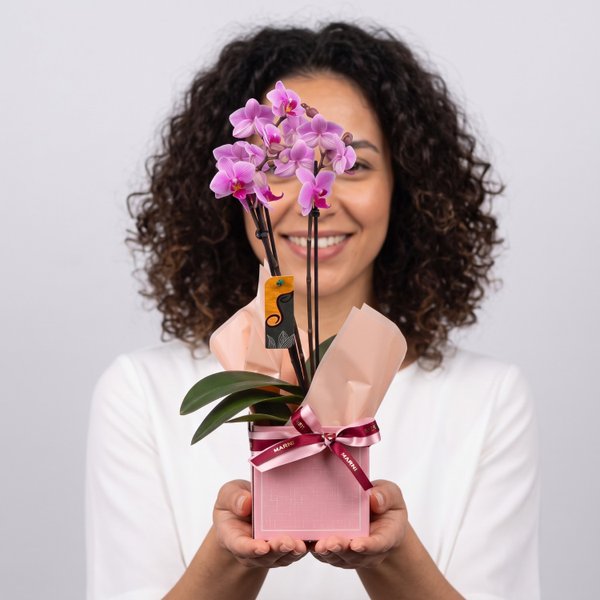 Mini Orquídea no Cachepot