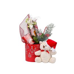 Imagem de Cesta de Orquídea com Urso Natal
