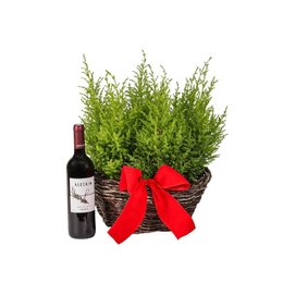 Imagem de Arranjo de Natal Pinheirinhos 