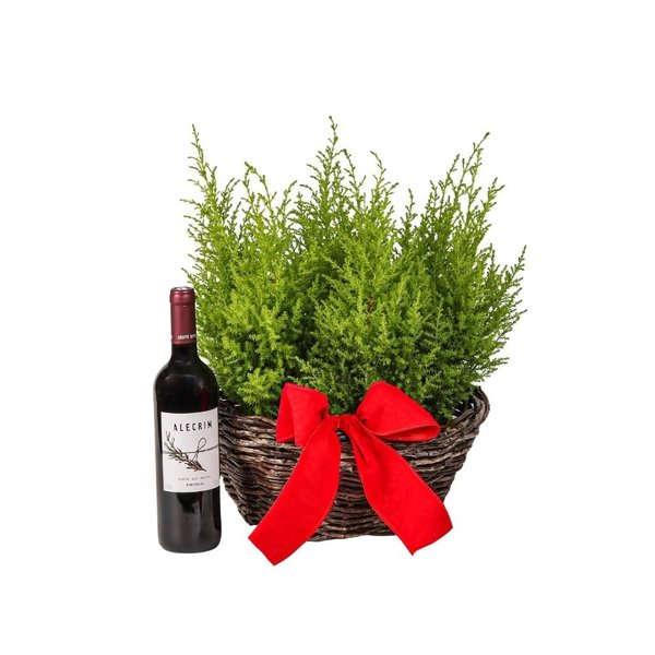 Arranjo de Natal Pinheirinhos 